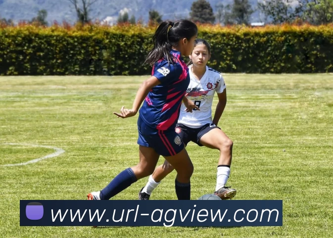 AG娱乐品牌故事